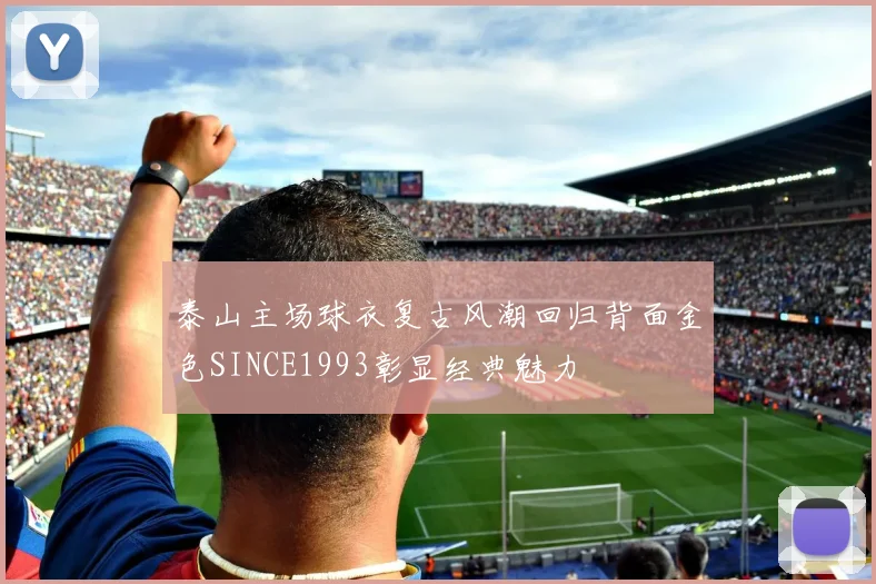 泰山主场球衣复古风潮回归背面金色SINCE1993彰显经典魅力