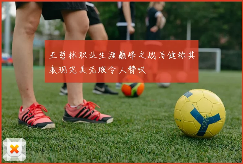 王哲林职业生涯巅峰之战马健称其表现完美无瑕令人赞叹